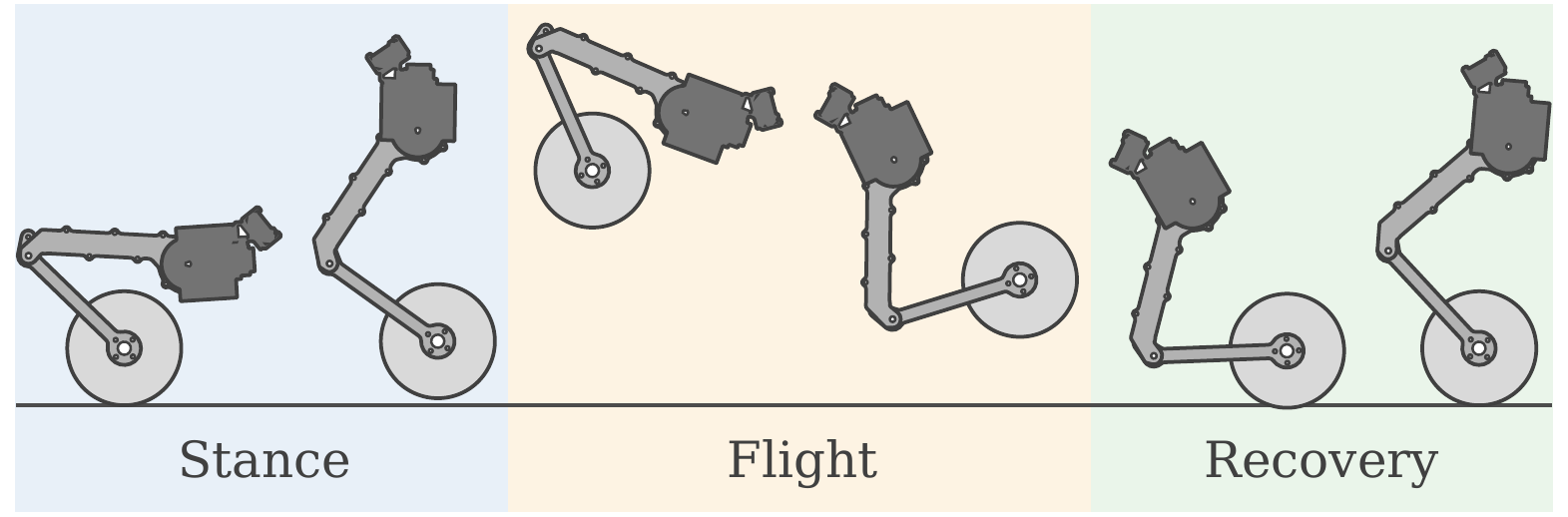 Stance, flight, and recovery.